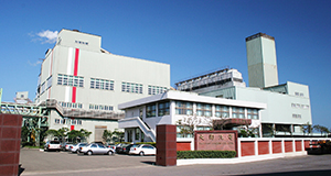 大園汽電共生股份有限公司